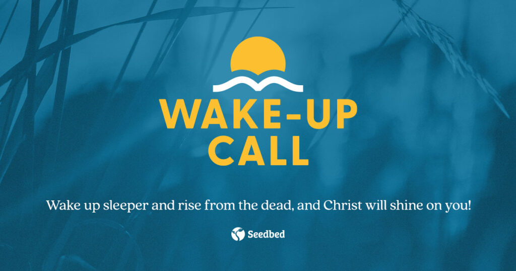 betbook247 Account Access, betbook247, 1xbet, dreamexch