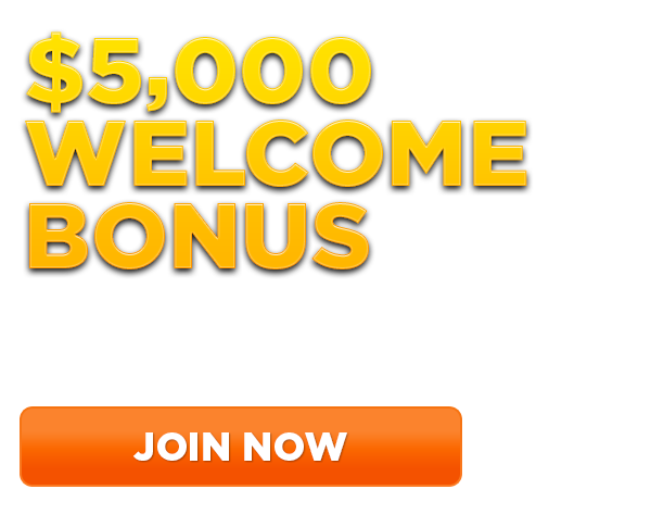 betbook247 Welcome Bonus, betbook247, 1xbet, dreamexch